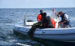300 Kilogramm Geisternetze aus der Nordsee gefischt