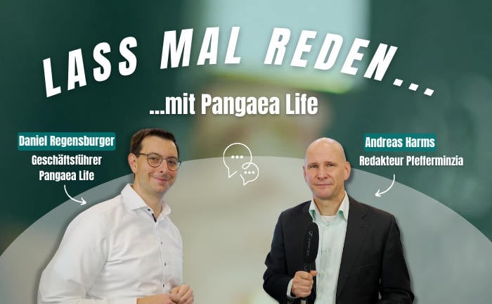 „Wir kümmern uns um den Kita-Platz gleich mit“